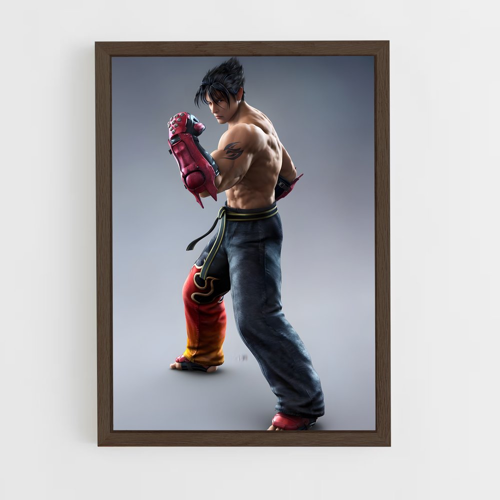Poster Jin en Lutte – affiche Tekken (vue 5)